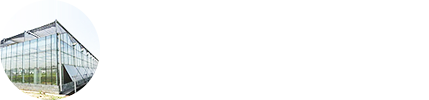 潍坊市华腾生态农业科技发展有限公司